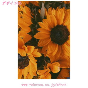 1000~OFFN[| A[g|X^[ R̕i O _ G ʐ^ {[h ǊG CeA  vg LoX  |X^[  Ǐ  Ǌ| fR[V x