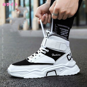 1000~OFFN[| Xm[u[c Y h ~C ȌC C EB^[u[c [Nu[c AEghAV[Y EH[LOV[Y JWAV[Y  傫TCY Y u