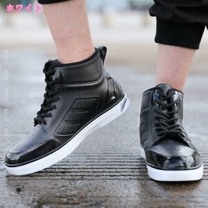 500~OFFN[| CV[Y Y Cu[c rWlX h JWAV[Y AEghAʋ Ɨp ނ  Jp h 䕗 ~J΍ Cu[c Y CV[