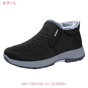 300~OFFN[| Xb| Y ~p N Xm[u[c EB^[u[c  JWA h ȌC ~ ʋ ʊw ₷ ϋv E₷ ~p oRC ɂ 