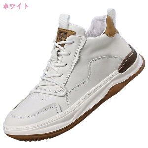 Xm[V[Y Y h Ȃ oRC hC  ~C N ~p y hu[c h V[gu[c AEghA oR Lv gbLO ₷ C ȌC Ή JW