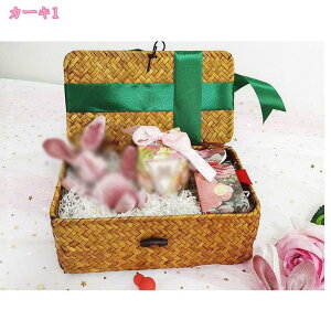 [ oXPbg  ҂݃oXPbg [P[X [box a  [pi  kJS ᔠ Gݎ[ i` rO[ [ n Vv [pi [