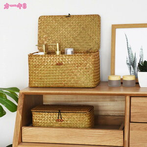 [ oXPbg  ҂݃oXPbg [P[X [box a  [pi  kJS ᔠ Gݎ[ i` rO[ [ n Vv [pi [