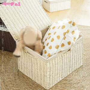 300~OFFN[| ҂݃oXPbg [{bNX a  Wt t^t AWA ו i` [oXPbg [P[X [  BOX [{bNX Wt [ h[ 