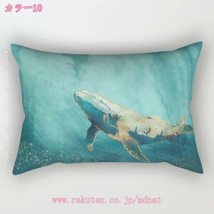 500~OFFN[| NbV   CeA    NVbN \t@w  j  蕨 zc ` _炩 Vv CeA ͗lւ r