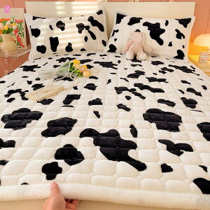 500~OFFN[| ~pQ xbh}bg  ӂӂ xbhV[c 100% ~ӂƂJo[ z ېOK xbhpbh V[c ʔN I[V[Y z  pC G K