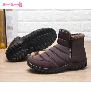 500~OFFN[| Xm[u[c Y Wbp[ V[g  hC N ~C ~pu[c y hu[c h V[gu[c JWA C ȌC ʋΒʊw ϋv Ή E