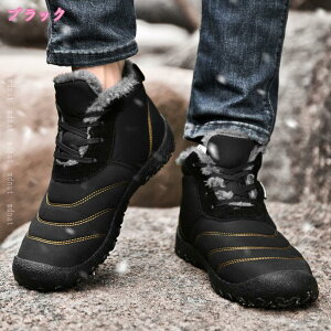 Xm[u[c fB[X y N hC h h Wbp[ V[gEB^[u[c g  ~p JWA ȌC C ʋΒʊw Xm[u[c fB[X y N hC 