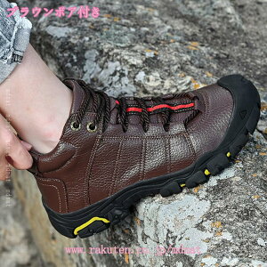 YEB^[u[c gntXm[u[cEH[LOANu[c KȉOgbLO Xm[V[Y fB[X Y Xm[u[c ~p N hC ʋ JW