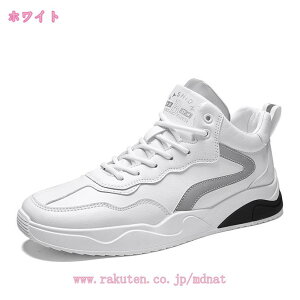 1000~OFFN[| Xm[V[Y Y Xm[u[c hC [gu[c g ےg N EB^[u[c C ~p h y ~ hV[Y ȌC ۉ JWA A