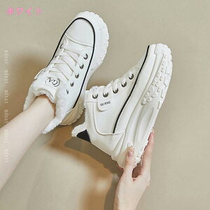 h  u[c  fB[X V[g u[c Xm[u[c [g y N hC h RtH[gV[Y  ₷ ɂȂ h Xm[V[Y Xj[J[ 