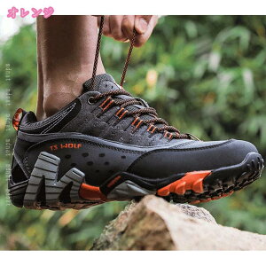 gbLOV[Y hCc̝Eh oRC h Xj[J[ Y fB[X C V[Y oR AEghA h oRC y Y nCLO AEghA Lv C u[c ~