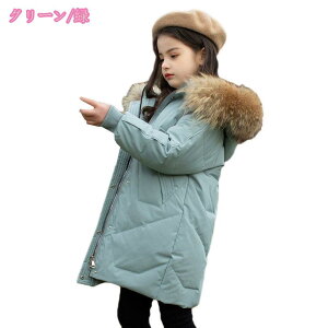 1000~OFFN[| LbY q ̎q AE^[ _EWPbg t[ht LbY q h H~ WjA AE^[ ~ ʉ AEghA LbY WjA h ۉ 120cm 130cm 140cm 150cm 160c