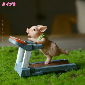 ETM IuWF ˂̒u Ԃ W I[ig A K[fI[ig CeA  u  YG z[i ̒u ̏   j a 