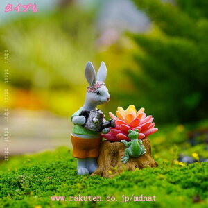 1000~OFFN[| u K[fI[ig IuWF  K[f Aj} IuWF   K[fjO  CeA G  q̒a l o^C