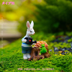 500~OFFN[| u K[fI[ig IuWF  K[f Aj} IuWF   K[fjO  CeA G  q̒a l o^C