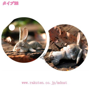 u K[fI[ig IuWF  K[f Aj} IuWF   K[fjO  CeA G  q̒a l o^Cf[ EFfB