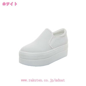  Xj[J[ Cq[ fB[X C t Xj[J[ Xb| JWA q[6cm  i fbLV[Y r ʊw IV ؍   Ȃ ₷ 