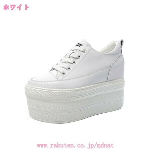 1000~OFFN[| Xj[J[ fB[X q[7.5cm  [Jbg JWA [XAbv 傫TCY Cq[ Xb| Vv r  zCg  ubN 킢 JW