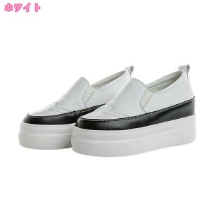 Xj[J[ Cq[ Xb|  C L b fB[X  ubN ₷ JWAC V[NbgV[Y ̌C t X|[cV[Y EFbW\[ C EH[L