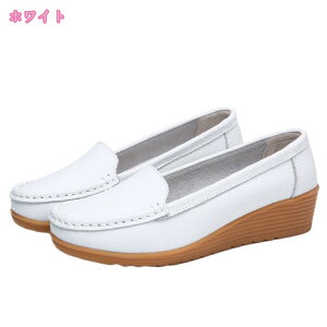 1000~OFFN[| Xb| Xj[J[ ₷  t fB[X L H  [t@[ Ȃ y V[Y  ~ v U[ y ɂ 킢 JWAV[Y