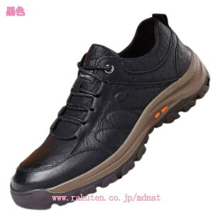 Xm[u[c Y Xm[V[Y hC AEghA EB^[V[Y h ~C EB^[X|[c {A ϏՌ ~ h AEghA    ~ C 