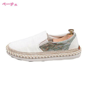 Xj[J[ fB[X  jq w C V[Y y lC jp ʋ ʊw JWA o ʋC EH[LOV[Y  ɂ ₷  傫TCY Ղ 