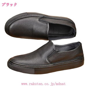 [Jbg rWlX Y ʋ dp l V[Y y L fbLV[Y ~ RtH[g WjA t  H ~ ʋC AEghA _炩 y` ₷ JWA 