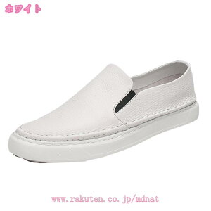 fbLV[Y Y ʋC vC hCrOV[Y Xb| [Jbg EH[LO h hL y JWA  amC ʋΒʊw i EH[LO fC[ Zn K J