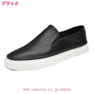 2000~OFFN[| Y Xb| [t@[ hCrOV[Y Vv n y JWA  ItBX K _炩 h Ȃ x[VbN ʊw ʋ  A