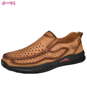 Xj[J[ fB[X  jq w C V[Y y lC jp ʋ ʊw JWA o ʋC EH[LOV[Y  ɂ ₷  傫TCY Ղ 