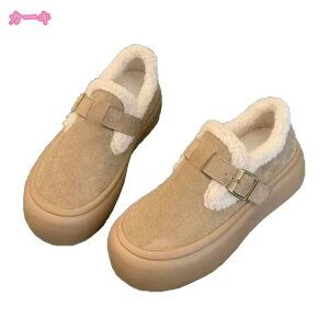 V[Y fB[X [gu[c  N  g r {AXb| Xj[J[ h tbgV[Y ۉ   ₷ ₷ gAbv JW