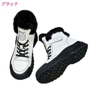 Xm[V[Y u[c fB[X h h h Xm[u[c V[g Xj[J[ C AEghA ʋΗp ~p [XAbv ҂ݏグu[c  JWA RtH[g y X