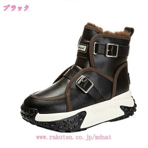 2000~OFFN[| fB[X {AH [gu[c [q[ y hC h h N RtH[gV[Y  p V[g u[c ~p ʊw ʋ  hV[Y 