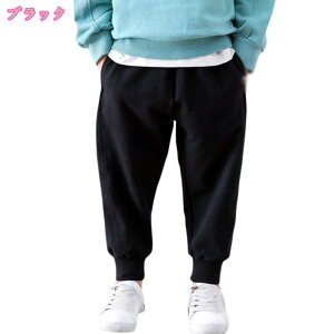 q LbY {Apc ȃpc WK[pc j̎q ̎q  ʊw ʉ Vv 킢 JWA h V XL[EGA AEghA qǂ Opc 