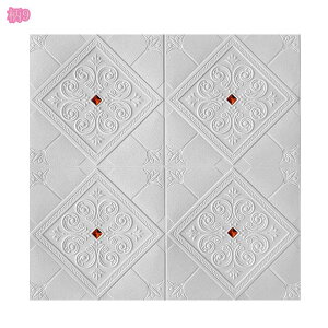 3Dǎ k NbVV[ CNV[g  rO EH[XebJ[ h _炩 Ռz ͗lւ Jbg\ ȔS ̂t ^C  zCg 􉽊w xbh[