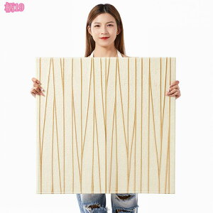 300~OFFN[| ǎV[  3D  NbV hV[g  Ǘp EH[fR  CNV[ ԕ h h hJr Փ˖h~ ͗lւ C SV[g  fM \