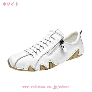 [t@[ rWlXV[Y w C Y ʊw hCrOV[Y Xb| JV fbLV[Y l Xj[J[ C   TChWbp[  y vC [Jbg r