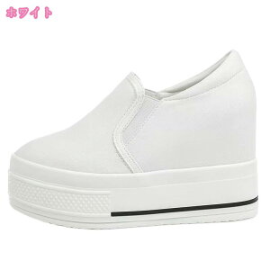 Xb|Xj[J[ Cq[Xj[J[ 10cm  V[Y Xj[J[ fB[X EFbW\[ Xj[J[ Cq[ TCY JWA  傫TCY fB[X 