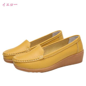 500~OFFN[| Xb| Xj[J[ ₷  t U[ [t@[ fB[X  H ~ y V[Y  Ȃ  JWA EH[LOV[Y _炩 