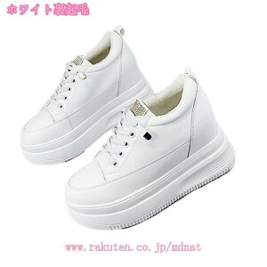 C\[Xj[J[ fB[X Xj[J[  Cq[ V[Y  [X ʋC JWA Xj[J[ fB[XV[Y C\[ [XAbv V[Y C 