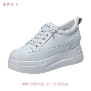 1000~OFFN[| Xj[J[ fB[X Xj[J[ EH[LOV[Y V[Nbg Cq[  Xj[J[ [XAbv ubN zCg   C y ؍ q[Xj[