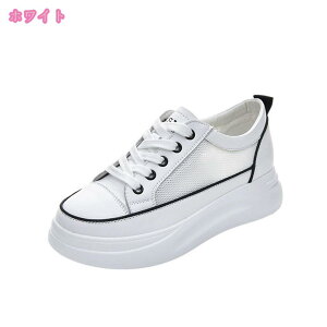 Xb|  Xj[J[ gAbv  NbV gh bV ʋC JWA fB[XV[Y y y RtH[g ~ ₷ Xj[J[ nCJb