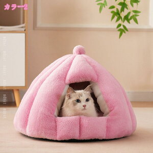  L xbh h[nEX }bg ybgxbh ~p ^ Lp Lp g ӂӂ ۉh Lp p ~ ΍   uE ^ LbgnE