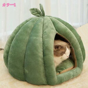 LnEX Lxbh ybgxbh ~p g ybgnEX ~΍ \tgP[W ~p g薰xe O[ ۉh ^ Lp L nEX ~ h[^ ybgnE