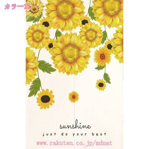 1000~OFFN[| g ډB ̂ k  n ډBO J[e ^yXg[ NX}X ̂  O ډB Ԏd؂ hAJ[e g ˌJ[e  o