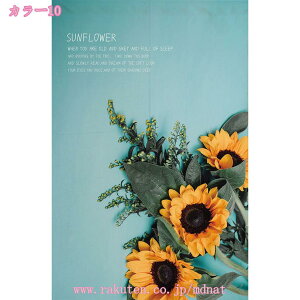 ̂ k ԕ g     O CeA ˂_ g Ԏd؂  Eߏ I  CeA z ډB J[e NX}X ̂  