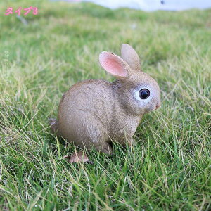 1000~OFFN[| K[fCg K[fjOIuWF A   ETM ϋv 킢 v[g  O fR[V a NX}X j  t  ci  O 