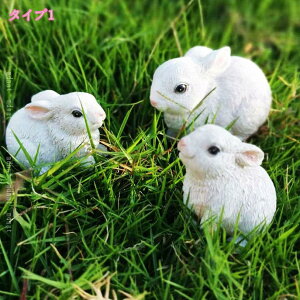 1000~OFFN[| K[fCg K[fjOIuWF A   ETM ϋv 킢 v[g  O fR[V a NX}X j  t  ci  O 