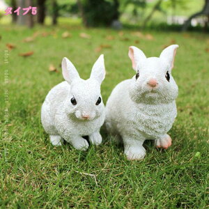 K[fCg K[fjOIuWF A   ETM ϋv 킢 v[g  O fR[V a NX}X j  t  ci  O ObY u